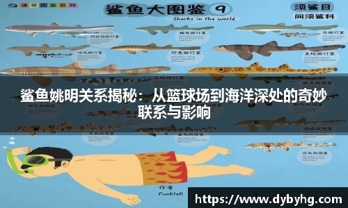 ABG欧博官方网站