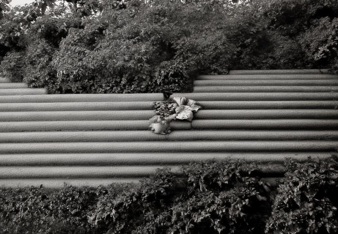 杰伦·约翰逊零失误三双创NBA历史纪录，亚特兰大老鹰新星斩获28+14+11